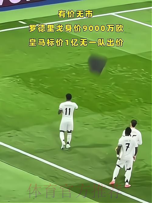 身价9000万何去何从? 罗德里戈失去皇马位置